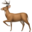 deer_flow logo